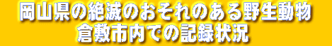 ���R���̐�ł̂�����̂���쐶�����@�q�~�s���ł̋L�^��
