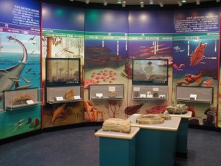 History of the earth and life