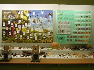 Parts of plants