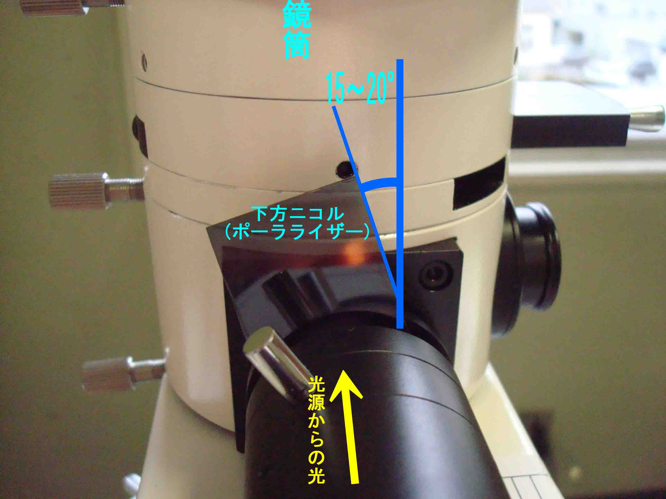 偏光反射顕微鏡（反射偏光顕微鏡）観察