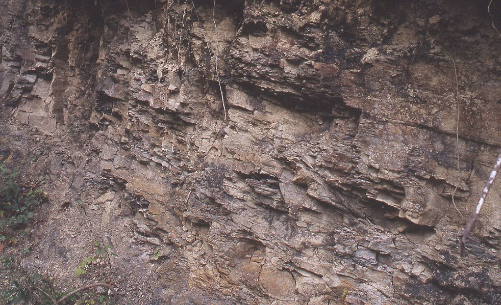 泥岩の地層