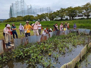 ���R�ώ@��u�~�Y�A�I�C�ώ@�ƃl�C�`���[�Q�[���v