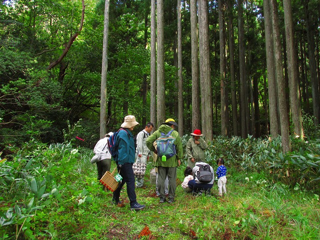 ���R�ώ@��u�Í��̂��̂��ώ@��v