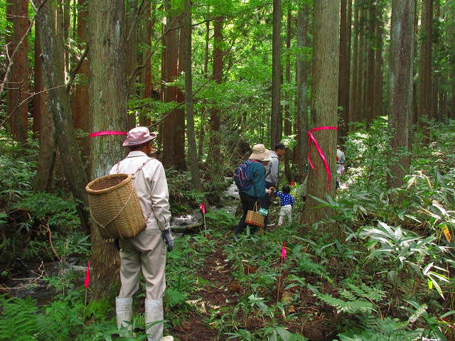 ���R�ώ@��u�Í��̂��̂��ώ@��v