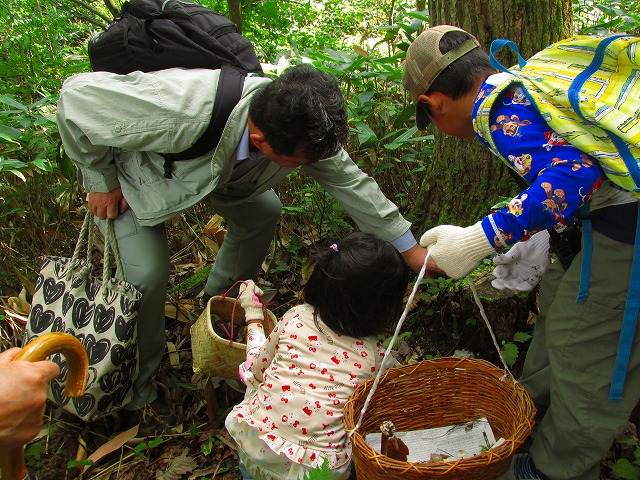 ���R�ώ@��u�Í��̂��̂��ώ@��v