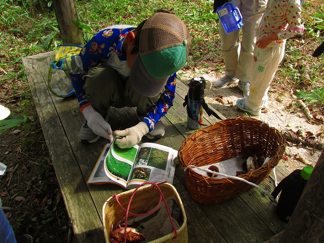 ���R�ώ@��u�Í��̂��̂��ώ@��v