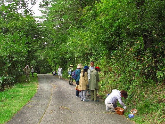 ���R�ώ@��u�Í��̂��̂��ώ@��v