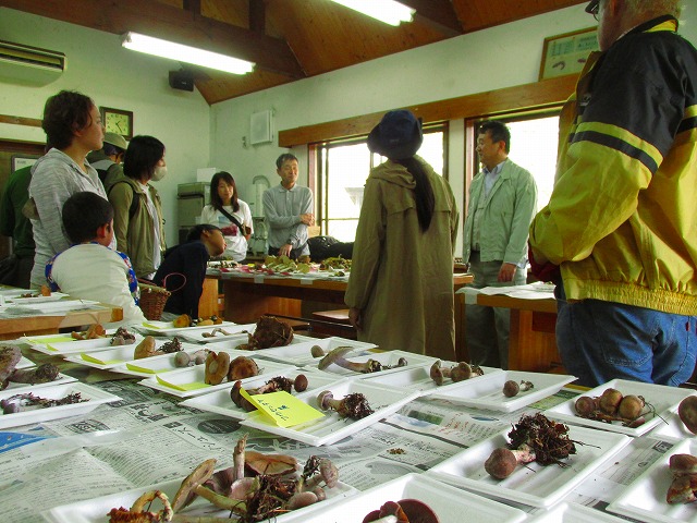 ���R�ώ@��u�Í��̂��̂��ώ@��v