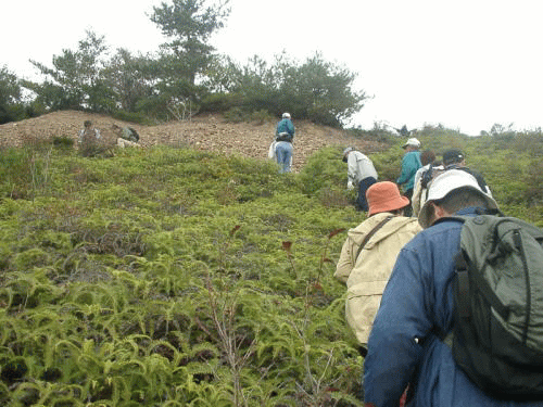 第237回自然観察会「三吉鉱山跡での鉱物等の観察」3