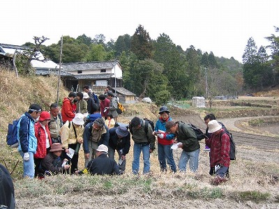 第292回自然観察会「鬼ノ城の春〜早春の食べられる野草を探そう〜」