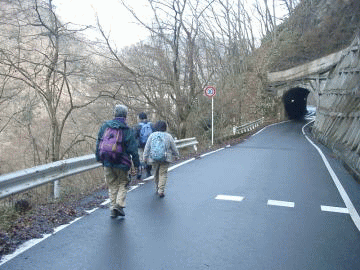 ��262�񎩑R�ώ@��P
