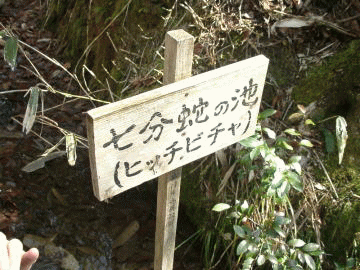 ��262�񎩑R�ώ@��P�O