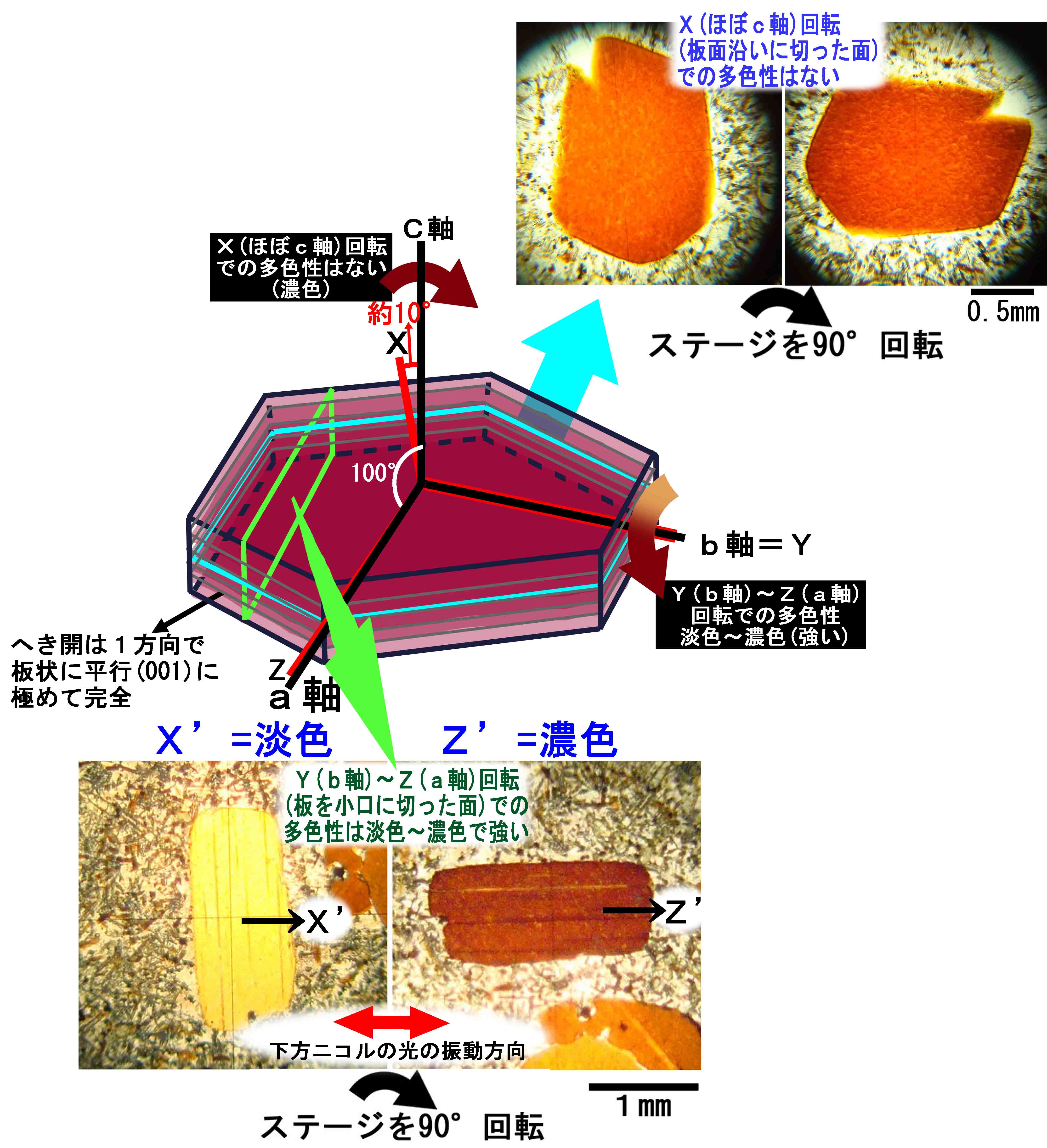 黒雲母 biotite