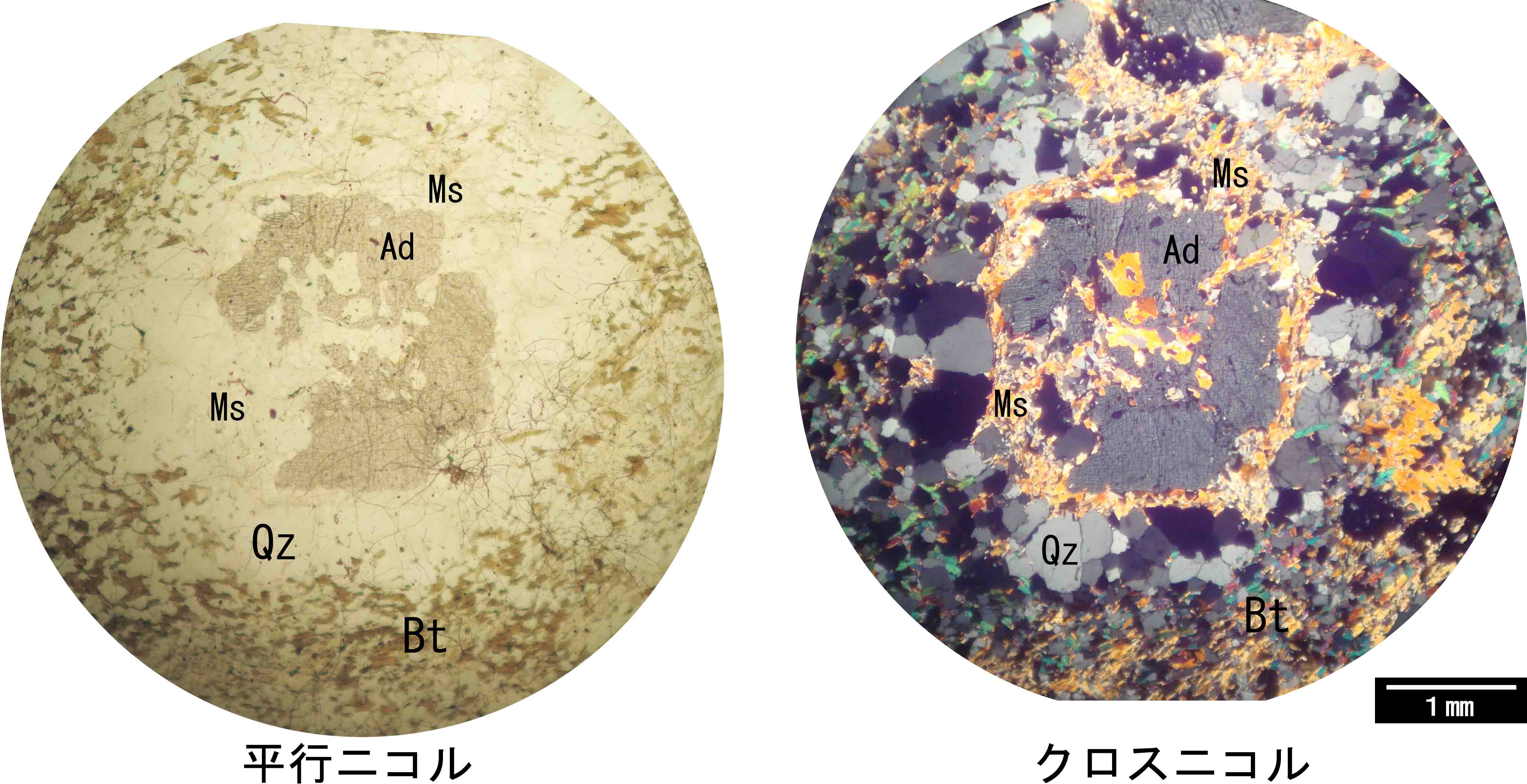 白雲母 muscovite