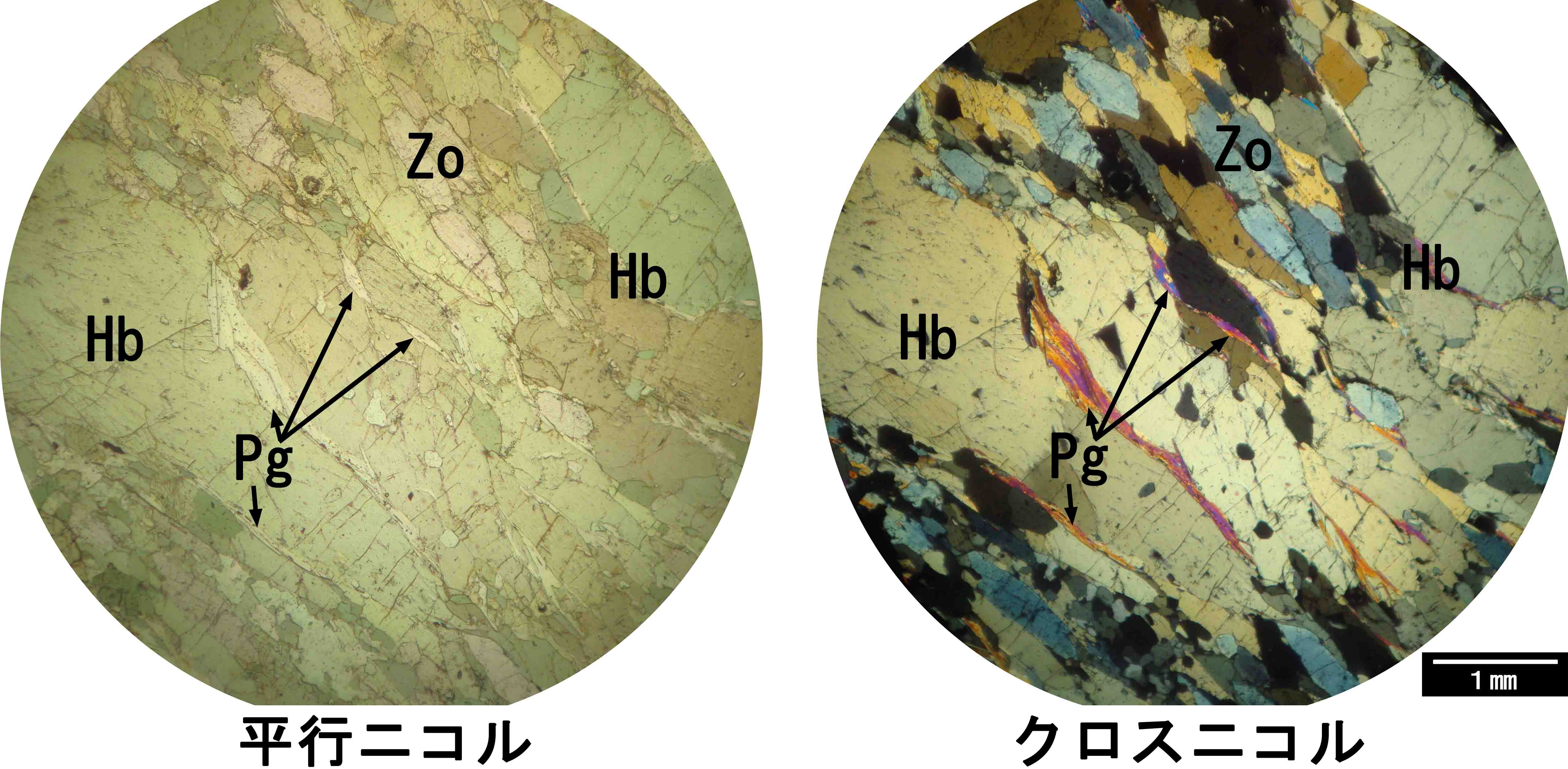 ソーダ雲母 paragonite