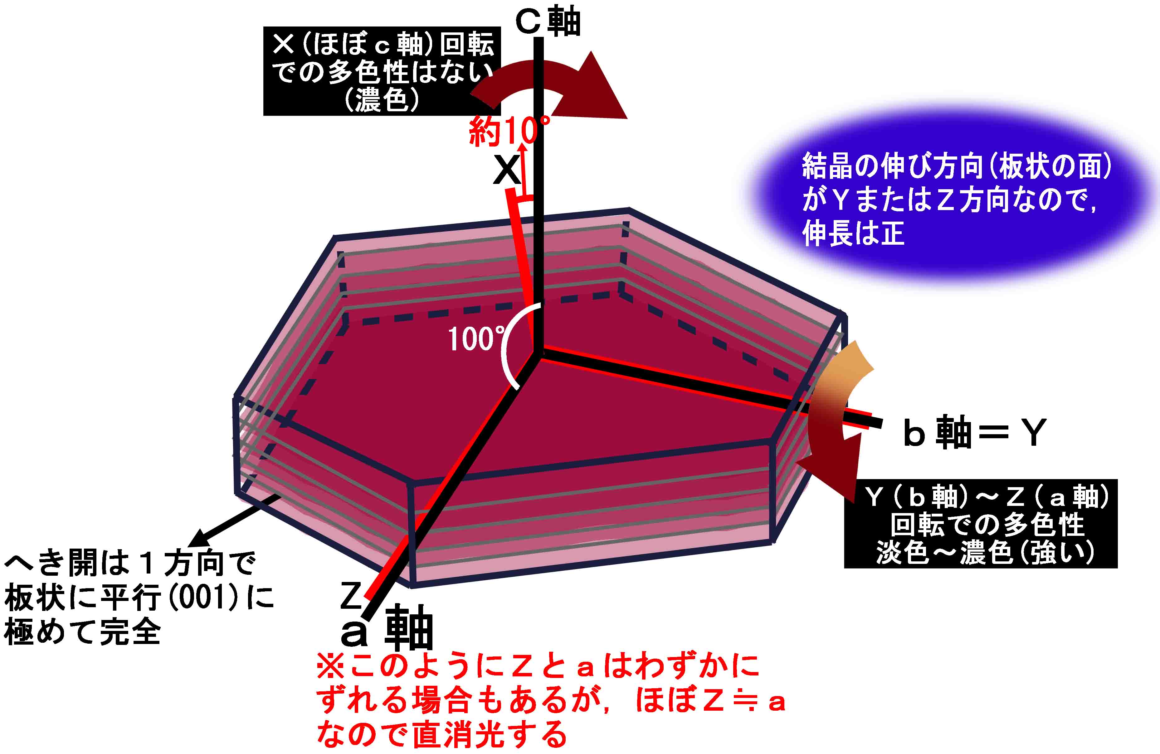 結晶方位による消光角の違い