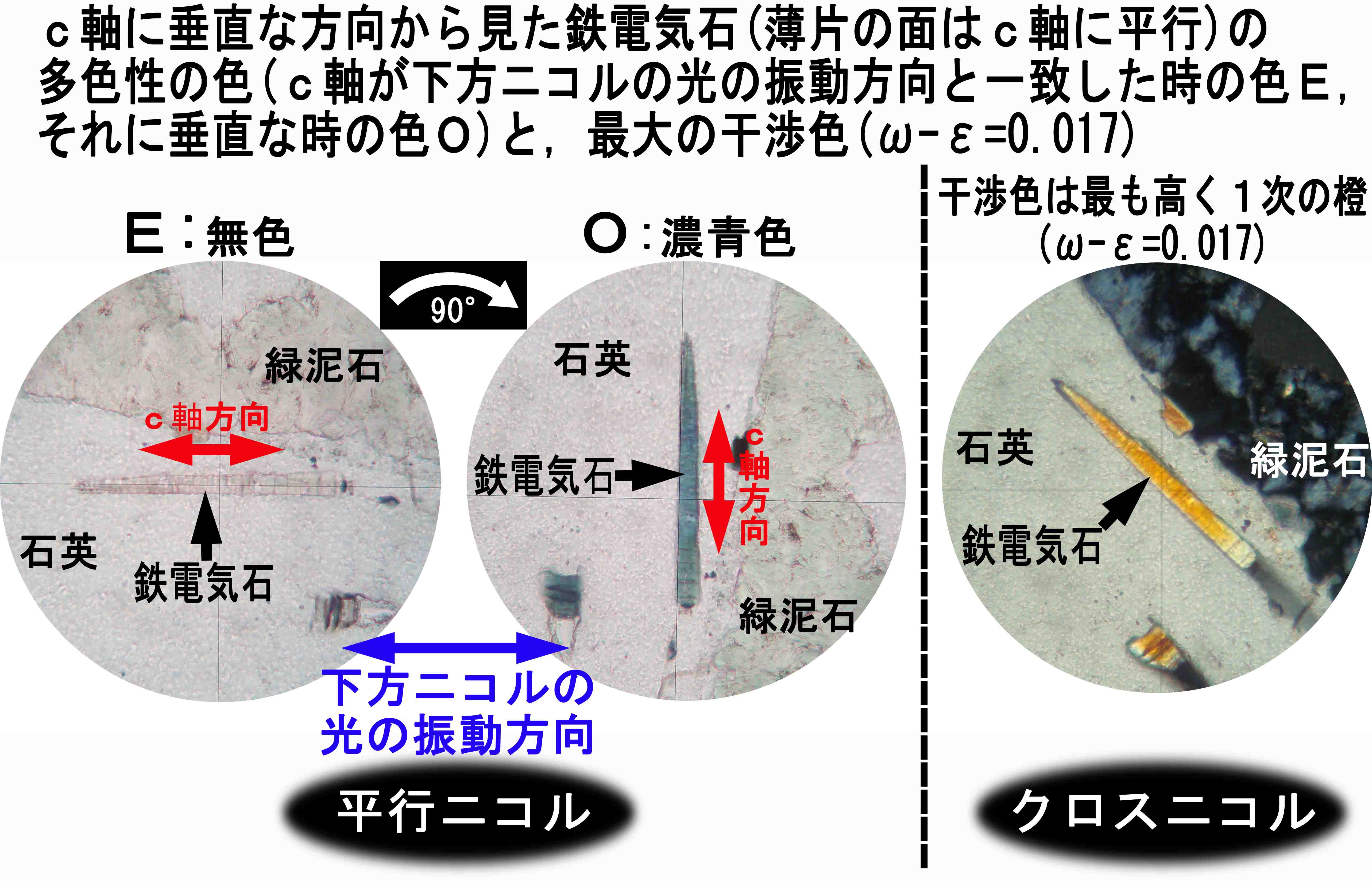 結晶系・結晶方位による多色性の違い