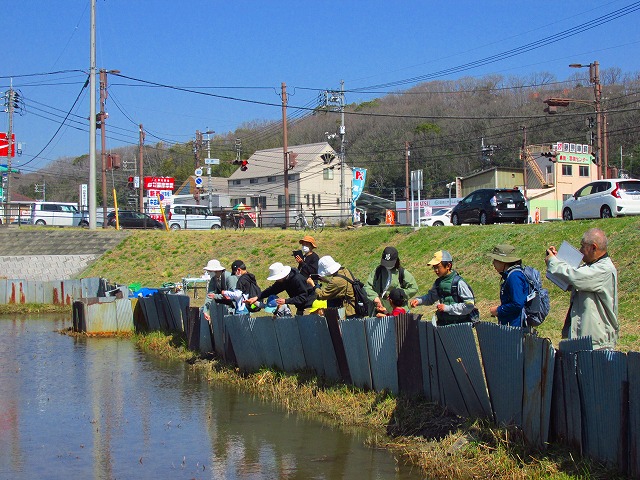 ���R�ώ@��u�~�Y�A�I�C�̎�܂��ƃl�C�`���[�Q�[���v