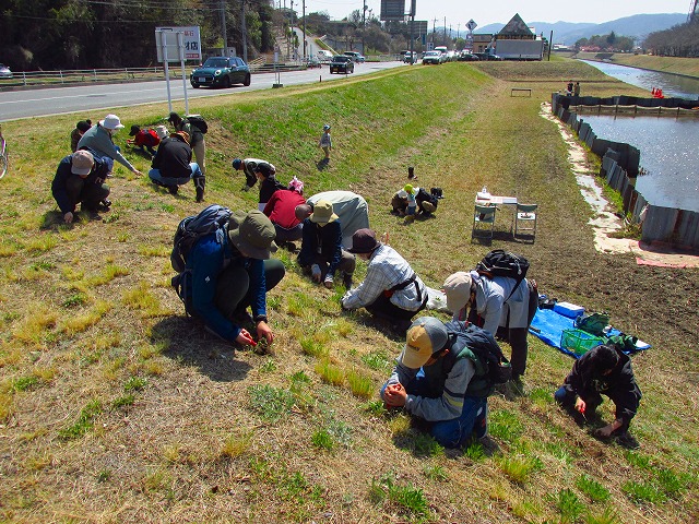 ���R�ώ@��u�~�Y�A�I�C�̎�܂��ƃl�C�`���[�Q�[���v