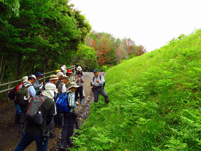 ���R�ώ@��u�X�Q�ώ@��v