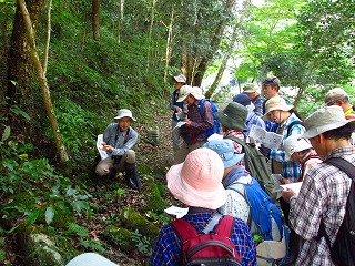 ���R�ώ@��u��R�O��V�_�̐��E�v