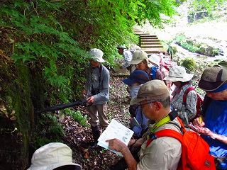 ���R�ώ@��u��R�O��V�_�̐��E�v