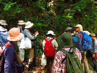 ���R�ώ@��u��R�O��V�_�̐��E�v