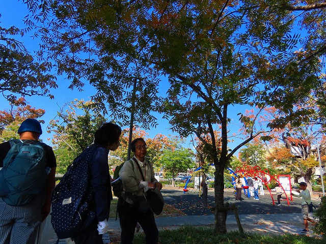 ���R�ώ@��u�q�~�݂炢�����Ő�����������2025�N11���v