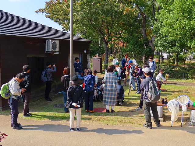 ���R�ώ@��u�q�~�݂炢�����Ő�����������2025�N11���v