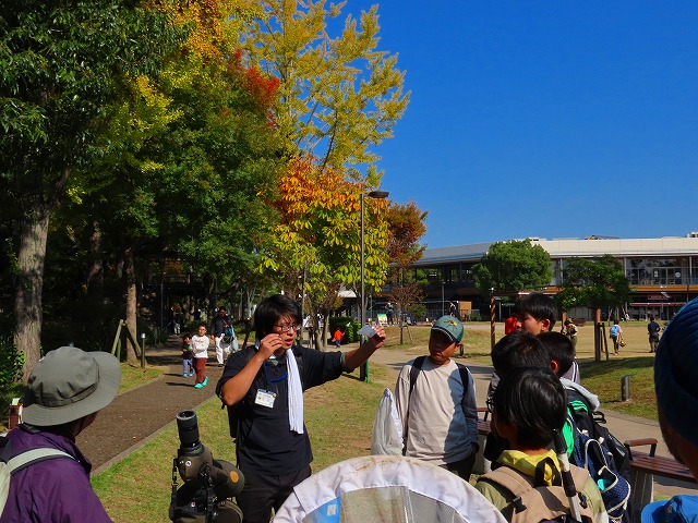 ���R�ώ@��u�q�~�݂炢�����Ő�����������2025�N11���v