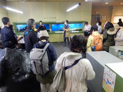 ���R�ώ@��u�~�Y�A�I�C�ώ@�ƃl�C�`���[�Q�[���v