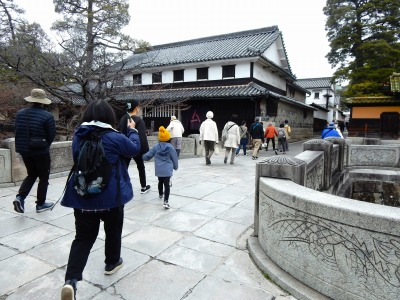 ���R�ώ@��u�~�Y�A�I�C�ώ@�ƃl�C�`���[�Q�[���v