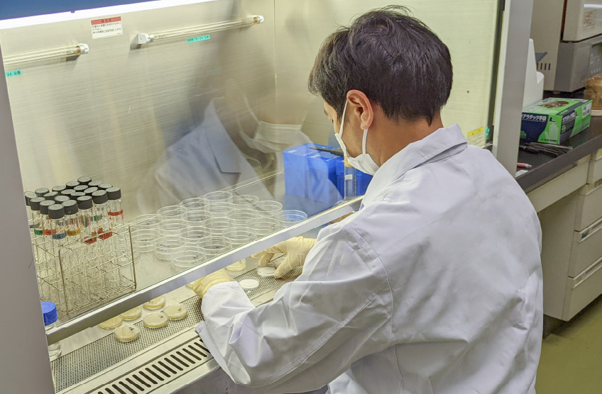 水質けんさの様子